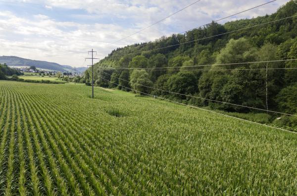 Netznutzungsprodukte