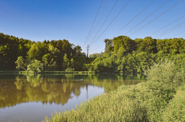 Plus que des cosmétiques